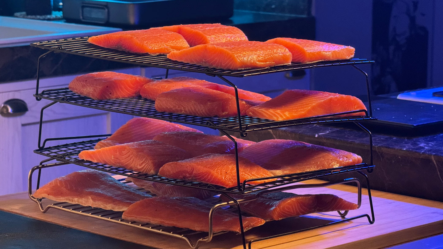 Tranci di salmone dopo la marinatura, pronti per l'asciugatura in frigo